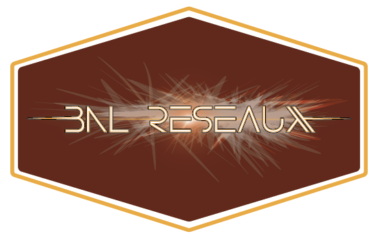 BNL Réseaux